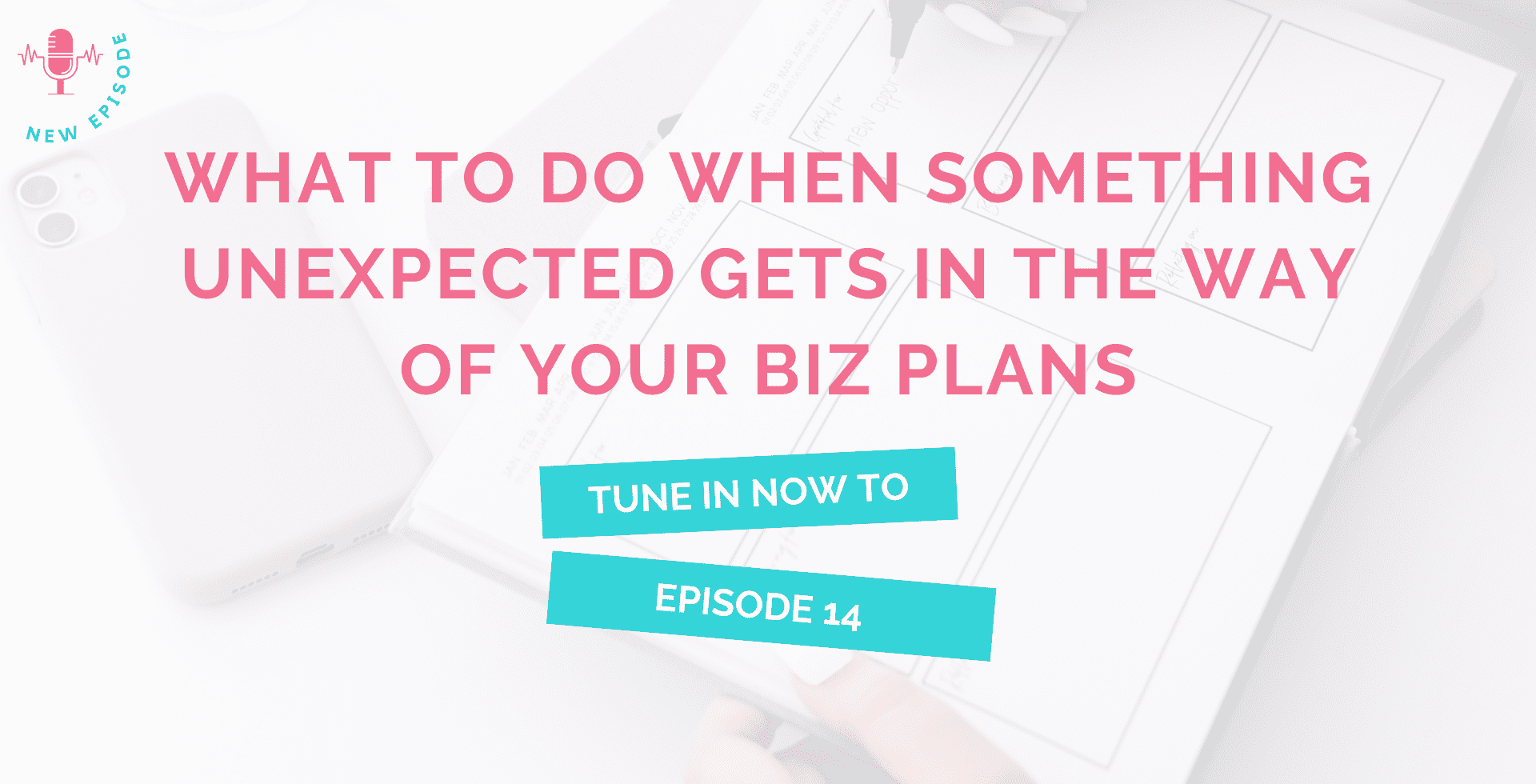 episode 14 - What To Do When Something Unexpected Gets in the Way of Your Biz Plans